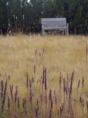 East Mountains — Landscape Construction project by Waterwise Landscapes Incorporated