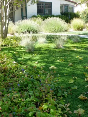 Country Club area — Landscape Construction project by Waterwise Landscapes Incorporated in Albuquerque