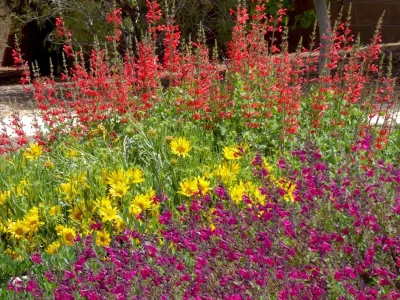 North Albuquerque Acres — Landscape Construction project by Waterwise Landscapes Incorporated in Albuquerque
