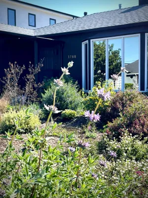 Bedford Street, Los Angeles by Weeds Garden Design Build LLC