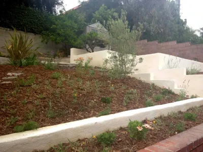 Hyperion Avenue, Silver Lake — Landscape Construction project by Weeds Garden Design Build LLC in Los Angeles