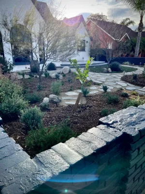 Rimpau Blvd, Los Angeles by Weeds Garden Design Build LLC