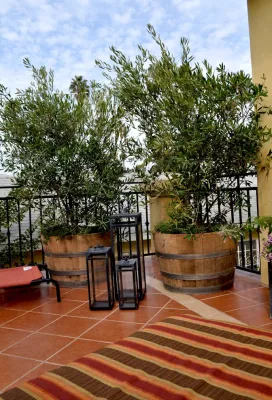 Oxford Street, Marina del Rey — Landscape Construction project by Weeds Garden Design Build LLC