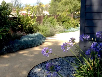 Glendon Avenue, West Los Angeles — Landscape Construction project by Weeds Garden Design Build LLC in Los Angeles