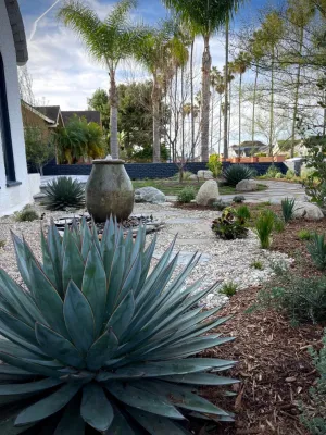 Weeds Garden Design Build LLC - Garden Remodeling in Los Angeles, CA