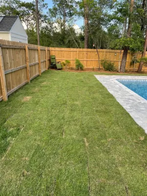 Yard Sharks, LLC - Leaf Removal & Cleanup in Locust Grove, VA