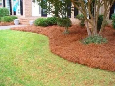 Yard Sharks, LLC - Leaf Removal & Cleanup in Locust Grove, VA