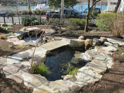 Downtown Annapolis Pond — Landscape Design project by Honeysuckle Nursery & Design in Annapolis