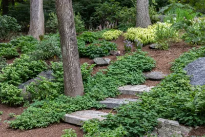 Les Arbres Tree Service & Fine Gardening - Tree & Shrub Care in Georgetown, CT