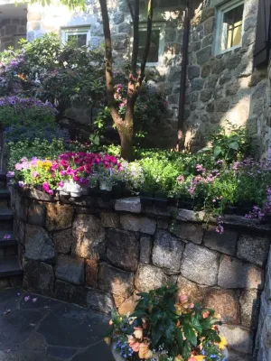 Les Arbres Tree Service & Fine Gardening - Tree & Shrub Care in Georgetown, CT