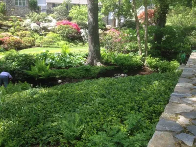 Les Arbres Tree Service & Fine Gardening - Tree & Shrub Care in Georgetown, CT