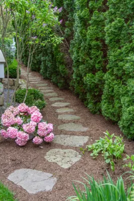 Les Arbres Tree Service & Fine Gardening - Tree & Shrub Care in Georgetown, CT