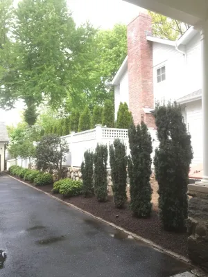 Les Arbres Tree Service & Fine Gardening - Tree & Shrub Care in Georgetown, CT