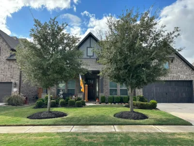 RF Tree Service - Tree & Shrub Care in Houston, TX