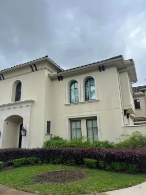 RF Tree Service - Tree & Shrub Care in Houston, TX