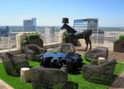 Conservation Grass - Drought-Resistant Lawn Installation in Dallas, TX