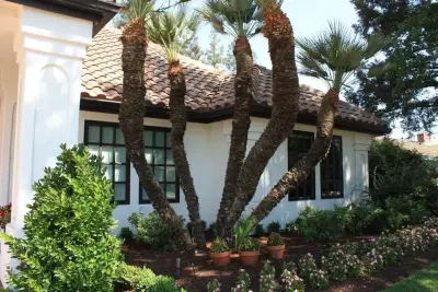 Baesemann's Architectural Design and Build - Architectural & Building Design Services in Tulare, CA