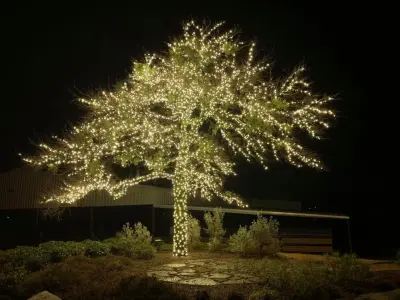 Dallas Landscape Lighting - Electrical Services in Dallas, TX