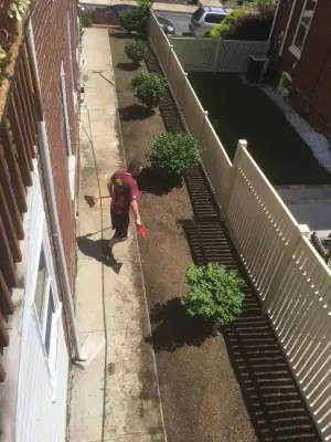 Property Clearance and Landscaping — Electrical Services project by JS Wired Electric And More