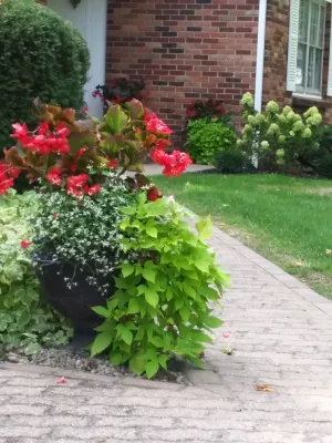 Aureli Landscaping & Custom Stone Work - Garden Remodeling in Rochester, NY