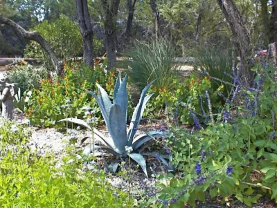Blazek Landscapes - Garden Remodeling in Dripping Springs, TX