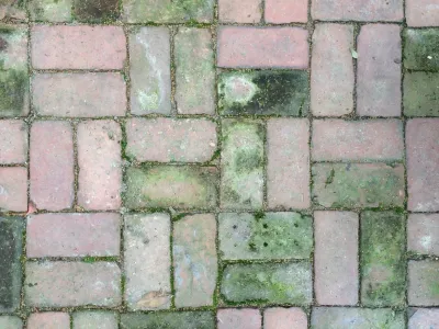 Blue House Gardens - Landscape Design in Arlington, VA