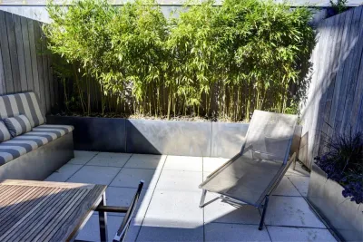 BP Design - Tree Planting & Transplanting in Cambridge, MA