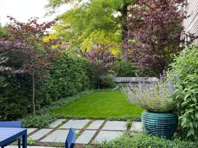 BP Design - Tree Planting & Transplanting in Cambridge, MA