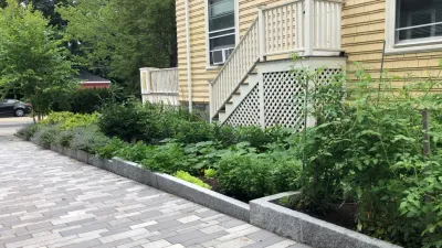 BP Design - Tree Planting & Transplanting in Cambridge, MA
