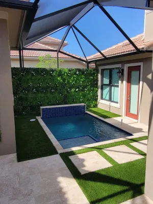Plunge Pool Artificial Turf — Landscape Design project by Broward Landscape, Inc. in Parkland