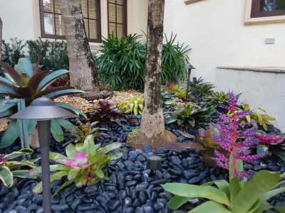 Broward Landscape, Inc. - Landscape Construction in Coral Springs, FL