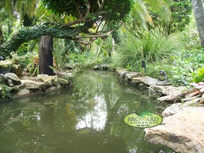 Pond & Landscaping by Broward Landscape, Inc.