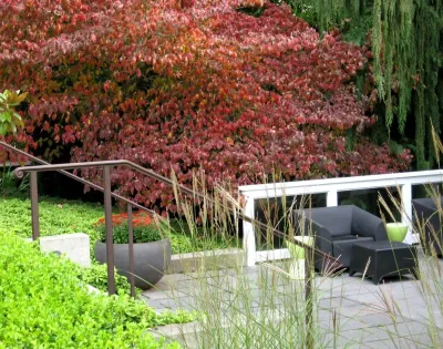 Madrona Contemporary Courtyard — Landscape Design project by Cambium Inc. in Seattle