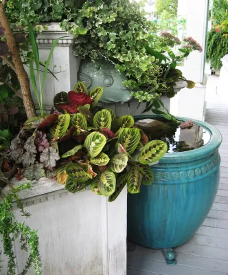 Fountains — Landscape Design project by Cambium Inc.