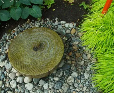 A Modern Garden of Contemplative Ease — Landscape Design project by Cambium Inc. in Seattle