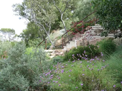 Hillside Garden by Campion Walker Landscapes