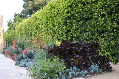 Campion Walker Landscapes - Landscape Design in Topanga, CA