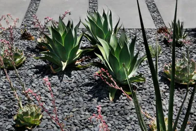Campion Walker Landscapes - Landscape Design in Topanga, CA