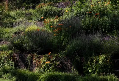Campion Walker Landscapes - Landscape Design in Topanga, CA