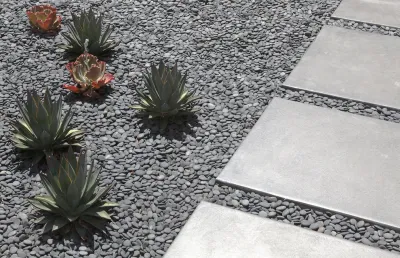 Hollywood — Landscape Design project by Campion Walker Landscapes in Los Angeles