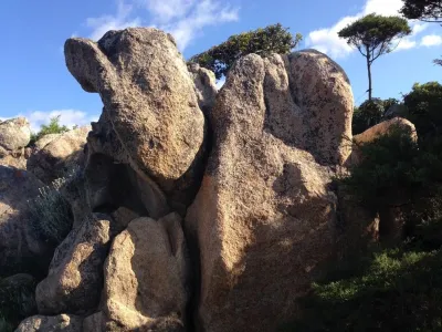 Corsica — Landscape Design project by Campion Walker Landscapes