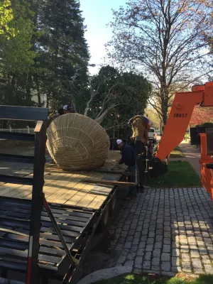 Large Tree Installation — Landscape Design project by Charles Earl Landscape Architecture LLC in Providence