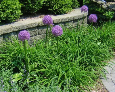 CLC Landscape Design - Garden Remodeling in Ringwood, NJ