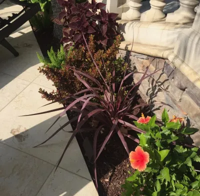 Cool Designs for Landscapes - Landscape Design in Fountain Valley, CA