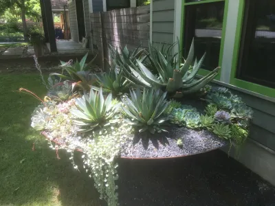 D-CRAIN Design and Construction - Landscape Construction in Austin, TX