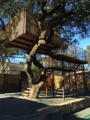 D-CRAIN Design and Construction - Landscape Construction in Austin, TX