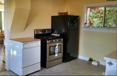 Treefrog Design - Countertop Installation Services in Clinton, WA