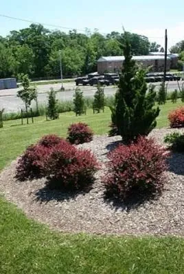 East Coast Landscape Design - Outdoor Lighting Installation in Spencerville, MD
