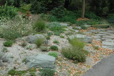 Xeriscaping — Landscape Design project by Land Architects, Inc.