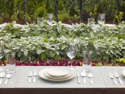 Equinox Landscape - Deck Building & Repair in Petaluma, CA